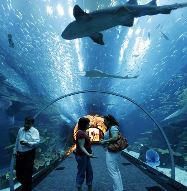 Burj Khalifa Dubai Mall aquarium