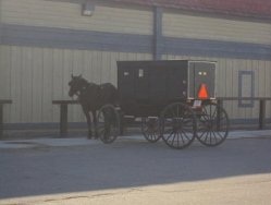 rondreis amerika reis usa - amish geparkeerde buggy